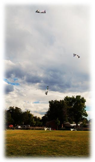 The iQuad kite team at Fletcher Primary School