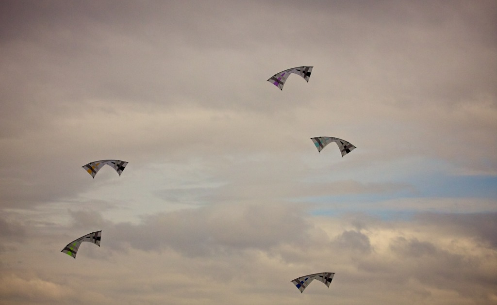 The iQuad kite team at the 2010 OSOW Event