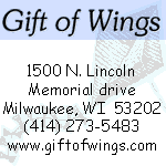 gift of
                    wings